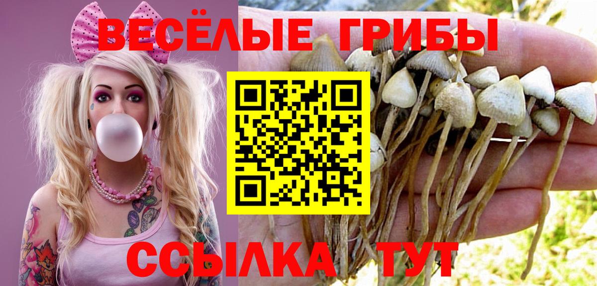 Галлюциногенные грибы Psilocybine cubensis  даркнет сайт  Нефтекумск  Вход с VPN 