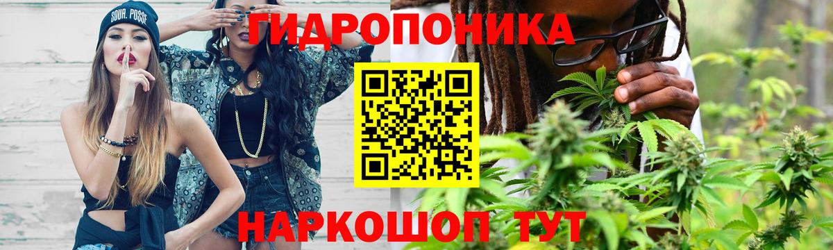 Бошки марихуана конопля  Шишки марихуана ГИДРОПОН  Бошки марихуана Ganja  Бошки Шишки MAZAR  Нефтекумск  Вход с VPN 